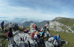 Activités d'automne