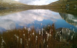 Trail au lac de la Thuile
