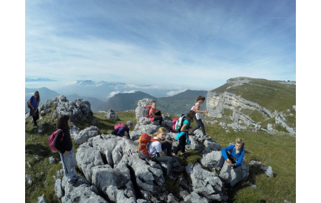 Activités d'automne